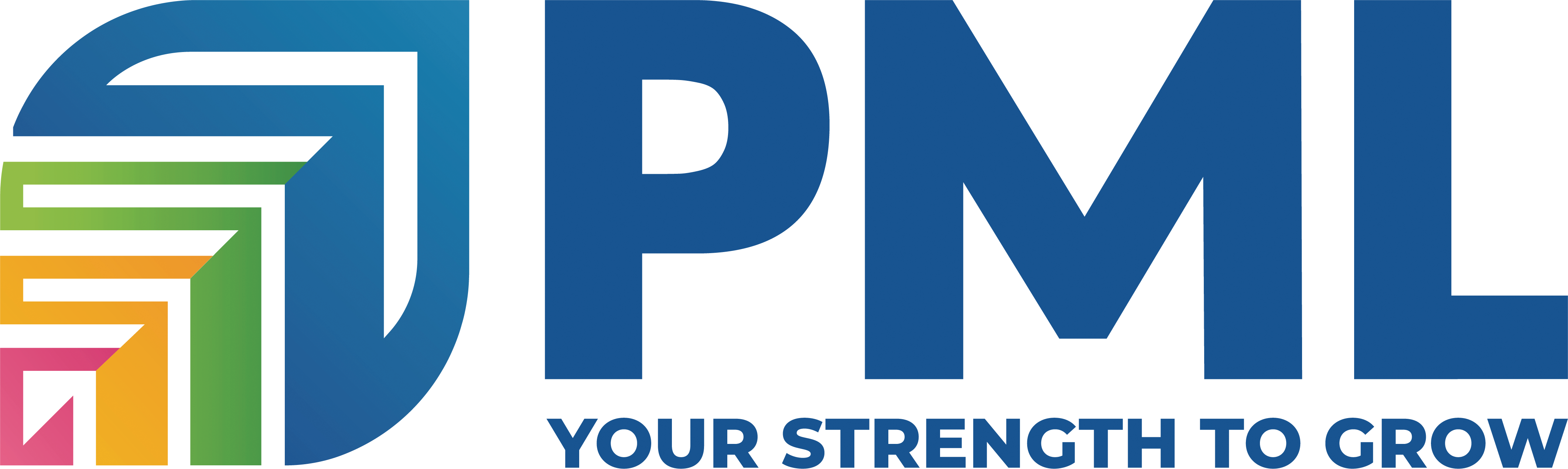 Logo 1